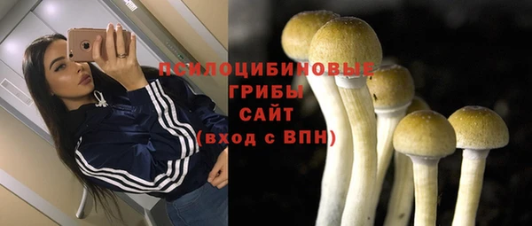 прущие грибы Алексин