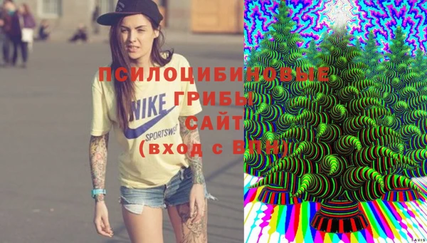 прущие грибы Алексин