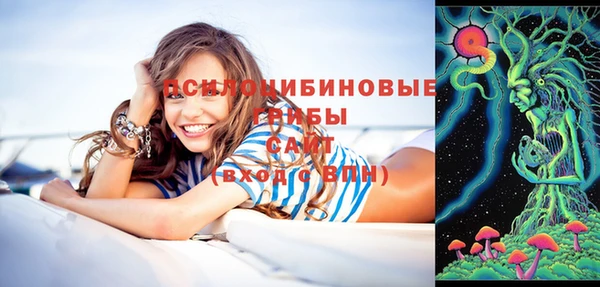 бутират Алзамай