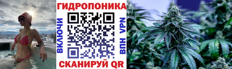 Шишки марихуана THC 21%  Котлас 